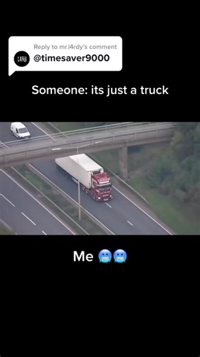 Replying to @mr.l4rdy Essex Lorry Deaths🥺 #tragedy #context #truck #news #rip #cuttothechase #explained | Time Saver