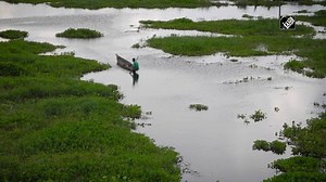 The National Mission for Clean Ganga and WWF India organised the World Wetlands Day 2021 in Delhi. | The Times of India