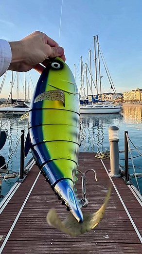 Tecnicas de Pesca: Bacoreta de 50cm