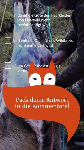 A, B, or C? 🤔 Test your hunting knowledge! 👇\n\nAfter the shot, things often need to happen quickly...