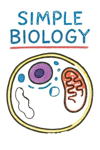 Mitochondria and Aging Explained Simply #aging