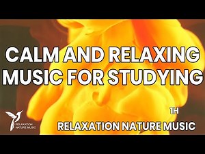 Calm and relaxing music for studying