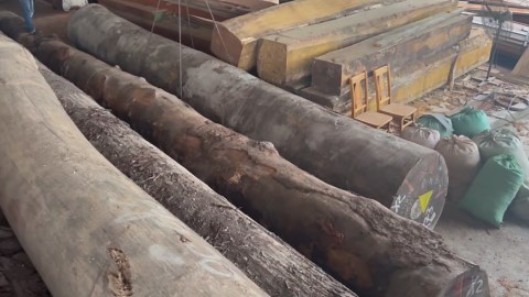 Transforming 100-Year-Old Ironwood into Stunning Lumber – Sawmill in Action