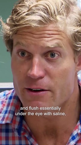 How eye injuries are threatening owl vision in the wild