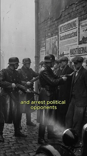 How German Democracy Collapsed in 1933 | The Law That Gave Hitler Total Power