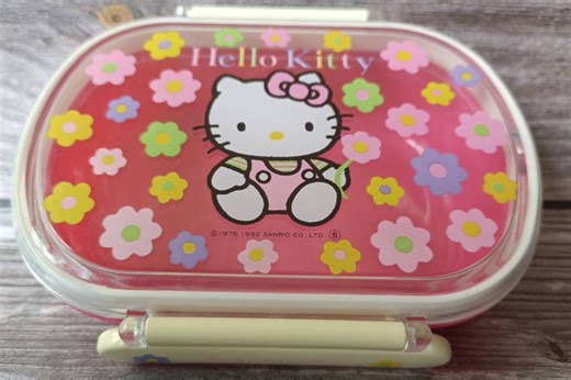 Vintage HELLO KITTY Lunch Box, 90s Sanrio Plastic Gift - Etsy UK