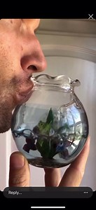 Coral Reefer on Reels | Facebook