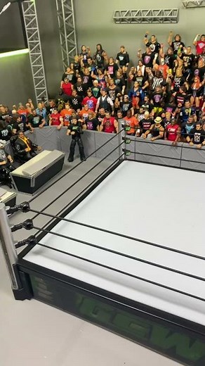 MY NEW WWE FIGURES #shorts