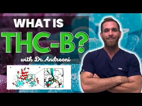 What Is THC-B?