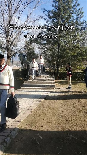 Reuniting with Your Jigers After 6 Weeks