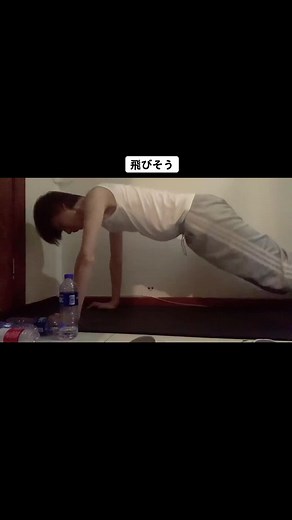 アシナガバチ 受粉 - 蜂 Fly トレーニング