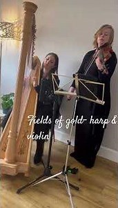 Fields of gold- harp & violin
