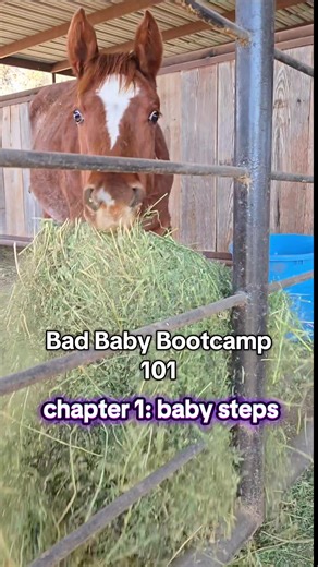 bad baby bootcamp chapter 1: baby steps #badbaby #thebadbabychronicles