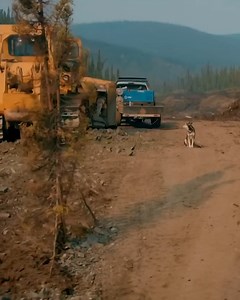 26K views · 496 reactions | Under pressure to hit his 500-ounce goal, Fred Lewis finds himself in a nightmare situation when his 250 excavator breaks down. #AussieGoldAndOpalHuntersPlus #GoldRush | Aussie Gold & Opal Hunters | Facebook