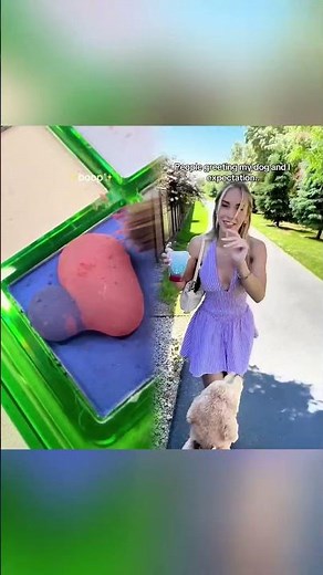 good thing I’m an introvert#dogs#dogcomedy