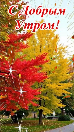 Good Autumn Morning! A song with wishes. #goodmorningwishes #goodmorning