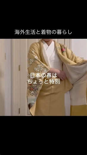 Spring in Japan: The Season of Beginnings
