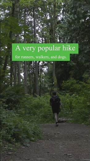 Hiking Coal Creek Falls – An Easy Issaquah Trail Adventure