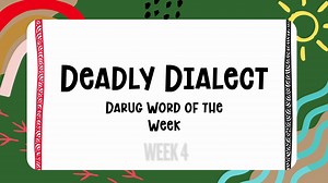 Warami mittigar! Today our mittigar Hunter shares the Deadly Dialect Darug word of the week - mittigar! NSW Department of Education #LoveWhereYouLearn #daruglanguage #stmaryslearnandgrow #livendeadly | St Marys Public School