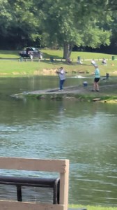 16K views · 241 reactions |  | Cedar Fishing Lake | Facebook