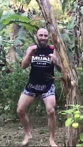 85M views · 101K reactions | Kicking Down A Banana Tree! I know what you're thinking. "What did that banana do to you?" NOTHING! The owners were replanting the trees, so he asked me to kick it down and we thought it would be a cool video to film. "That shit's easy, bro." Yes. Banana trees are a lot easier to kick down than you might think. | Muay Thai Guy | Facebook