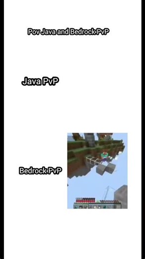 Java vs Bedrock #viral #viralvideo #fyp