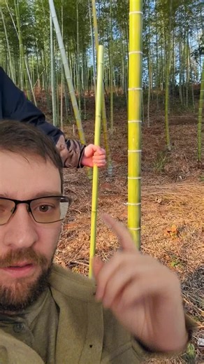 #duet with @passionforknives #sword cane swords like this are interesting. #history #martialarts #swordtiktok