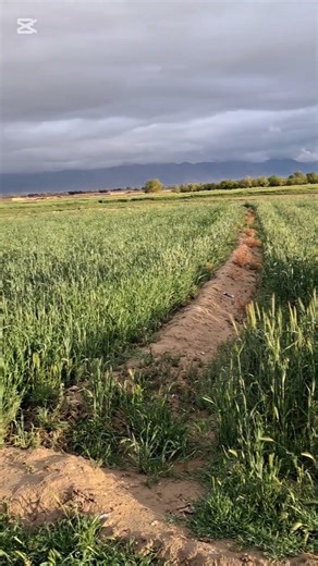 Springtime Mountain Views​ #NaturePhotography #Mountains #SpringVibes #RuralLife #ScenicView