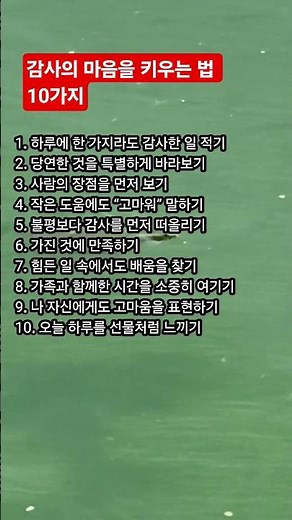 감사의 마음을 키우는 법 10가지 #감사하는마음 #행복습관 #감성글 #힐링글 #삶의지혜 #마음치유 #인생조언 #긍정명언 #감동글