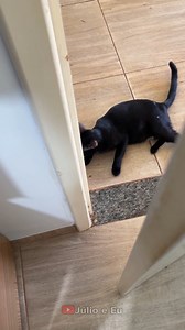 609K views · 81K reactions | Júlio não tem paciência para surpresas. kkk | Júlio e Eu | Facebook