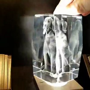 521 reactions · 242 shares | ArtPix 3D on Reels | Facebook