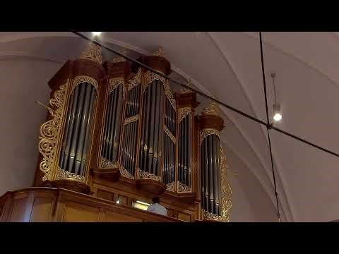 Live uitzending Hervormde Gemeente Arnemuiden