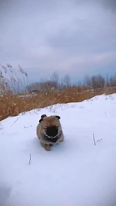 No animation experience needed. Give your videos a cinematic look with animated text in minutes. Check out the How-To: Customize motion title templates in Premiere Elements and see how easy it is. | Adobe Photoshop Elements & Premiere Elements