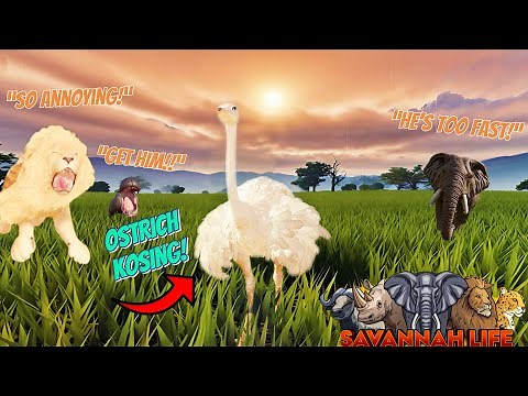 ATTACKING PLAYERS AS THE OSTRICH IN SAVANNAH LIFE ROBLOX PT 2!