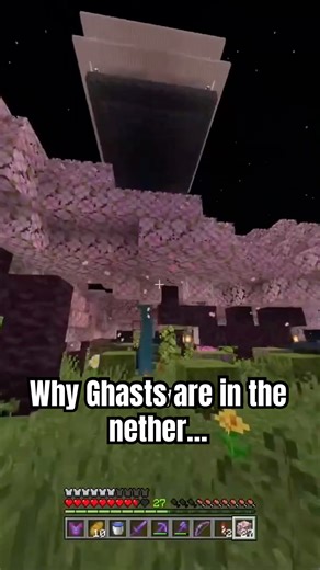 Why Ghasts are in the nether… (Minecraft)