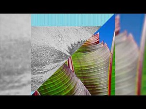 Four Tet/KH - Only Human + Lush