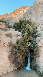 En Gedi ist wortwörtlich eine Oase🌴 in der Wüste 😮 und ein beliebter Ort für die Einheimischen und alle Besucher. Wart ihr schon einmal dort, um diese Oase zu erkunden? 🌞💧 Schon gewusst? Die Oase En Gedi ist für ihre heilenden Mineralquellen bekannt. Diese Quellen enthalten eine einzigartige Mischung aus Mineralien, die seit der Antike zur Behandlung verschiedener Hautkrankheiten und für allgemeine Wellness genutzt werden. 🌿​ #VisitIsrael #StandwithIsrael #JudäischeWüste #EnGedi Übersetzt m