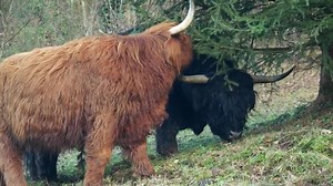 1.5K views · 132 reactions | Disco club on Reels | Facebook