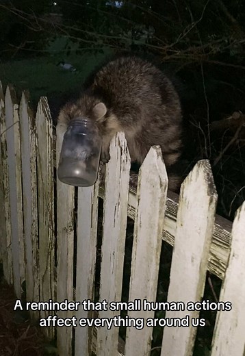 Wildlife pays for our trash. For licensing or usage, contact: licensing@viralhog.com #fyp #savetheanimals #humanity #animalrescue #protectwildlife
