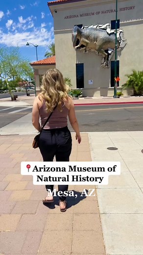 The Arizona Museum of Natural History in Mesa, AZ has long been one of our favorite Arizona museums. We call it the dinosaur museum but it has so much more. What’s one of your favorites? #mesaaz #arizonatravel #visitmesa #arizonathings #dinosaur