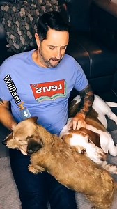 37K views · 1.3K reactions | Love my boys ❤️ Wanda Sykes always nails it — dog people will feel this one deep 藍#wandasykes #uscomedy #dogs #doglove #petparents #comedyreels #fyp #funnyclips #dogpeople #keithbugden | Keith Bugden | Facebook