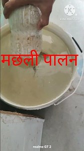 Fish Farming in a Small Container.@fish