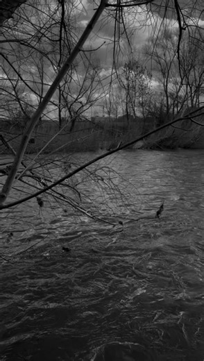 #اغاني_كردية #تصميم_فيديوهات🎶🎤🎬 #اكسبلورexplore❥🕊 #مجرد_ذووقツ🖤🎼