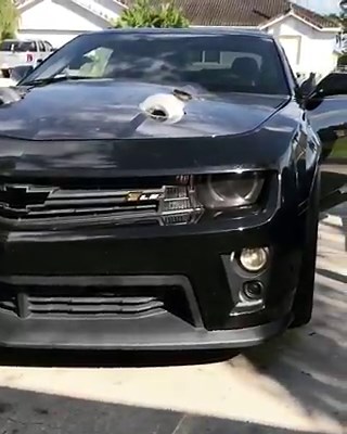 34K views · 973 reactions | Twin Turbo 5th gen Camaro. TSP LS3 Stage 3 cam package. | Texas Speed & Performance | Facebook