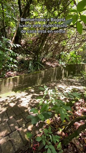 💎En venta espectacular casa en reserva forestal🌲🌳☀️ 📍Provenza-suba . $2.200.000.000 COP . •290m2 • 4 niveles •Habitaciones 4 •Estudio •Gimnasio •Cuarto se servicio •Parqueaderos 3 •Jacuzi •2 terrazas y BBQ •Alarma de Seguridad y cámaras antiniebla🚨 •Luces dimerizables •Calefacción en habitaciones •Administración 1.600.000 🌲 Conjunto en reserva forestal Premio nacional de arquitectura 2009 🏆 . #luxurylife #inmobiliaria #realestate #agenteinmobiliario #casaenventa #fyp #viraltiktok #inmuebl