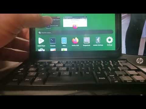 React TypeScript website running in a .NET 10 Kestrel Server in PostmatketOS in the PinePhone BETA!