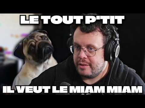 IMPOSSIBLE D'APPRENDRE DES TRUCS AUX CARLINS