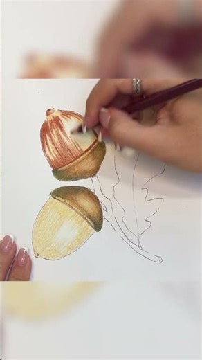 rawing Golden Acorns with Colored Pencils - A Step-by-Step Guide