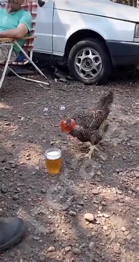 follow (@heraret)’s videos with original sound - follow