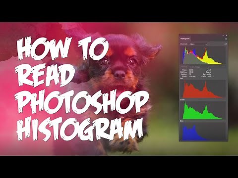 Photoshop Histograms Explained for Beginners